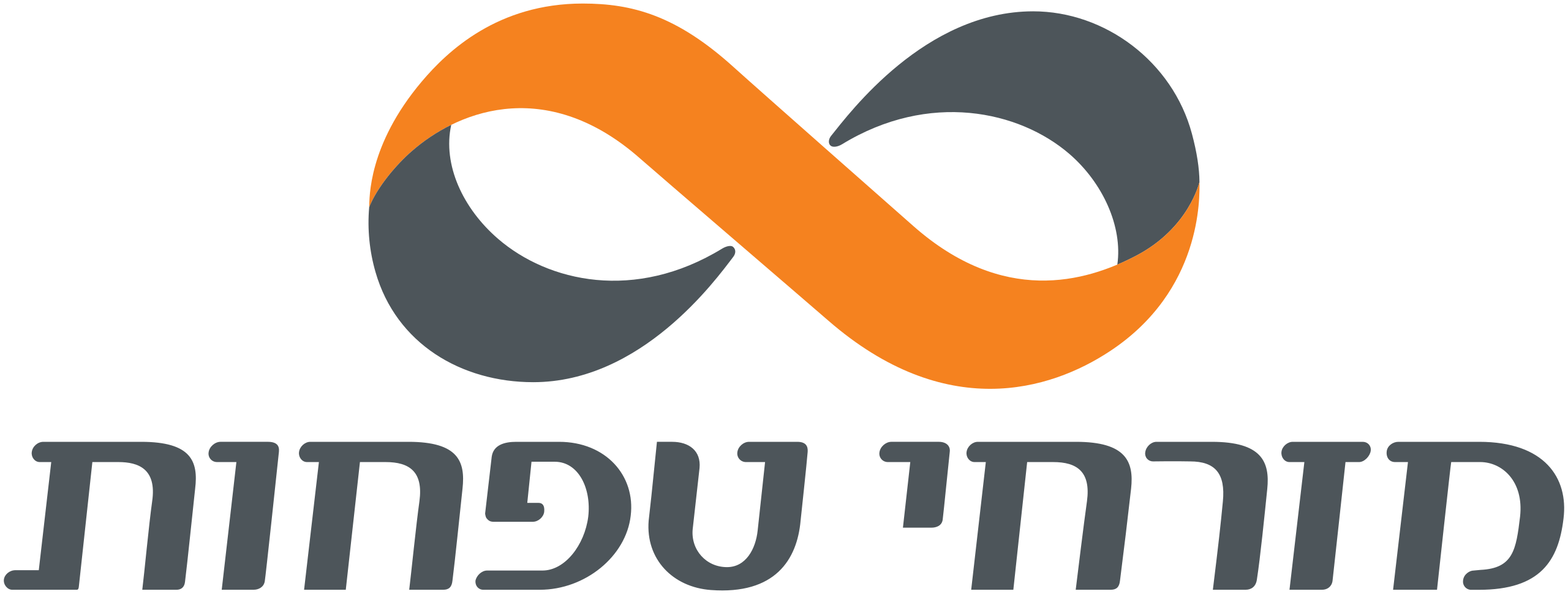 logo-mizrahi